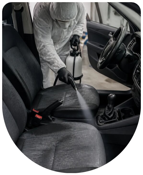 Профессиональная дезинсекция автомобиля от насекомых в Магнитогорске